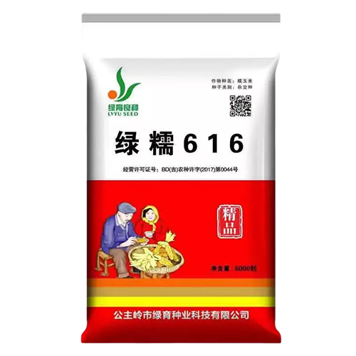 綠糯616