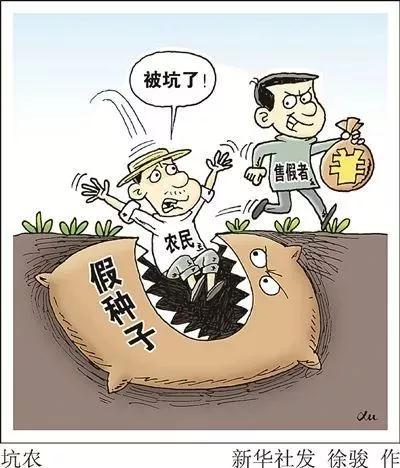 網(wǎng)上購買到假種子導(dǎo)致絕收，該怎么辦？購買多注意，維權(quán)有方法！？