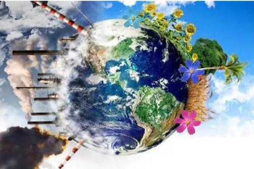 農(nóng)業(yè)的芯片：種子，水稻和小麥國產(chǎn)化率高，其他竟然全部進口為主？